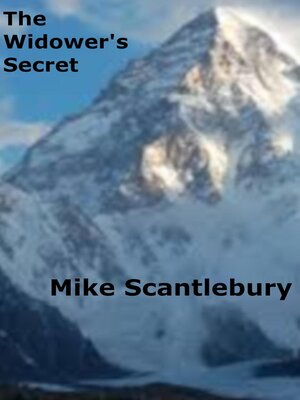 cover image of The Widower's Secret